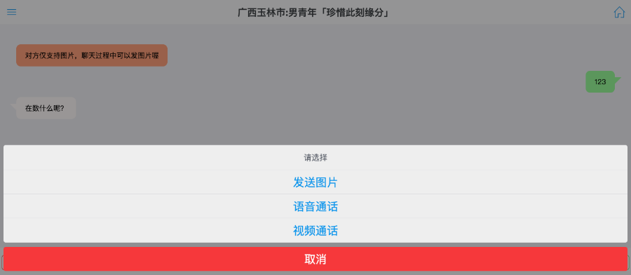 随机聊天,陌生人聊天,具备点对点语音与视频功能。类似叔叔不约网站,网站自适应