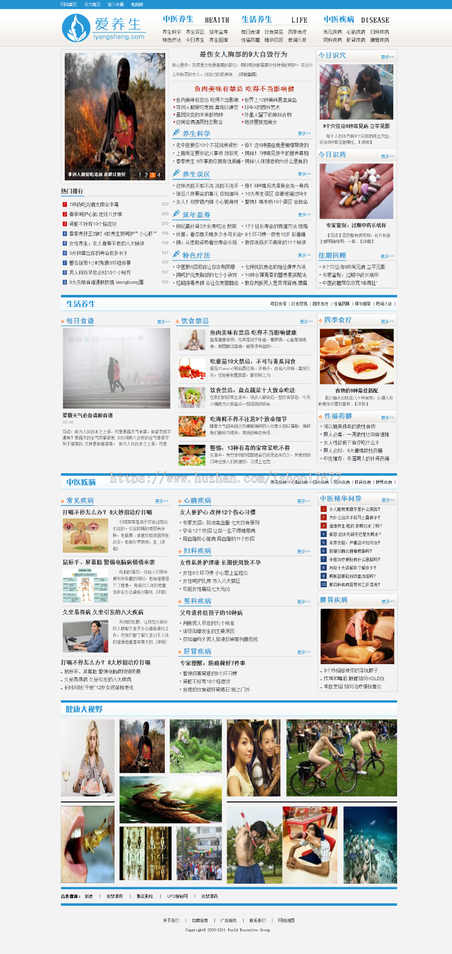 健康网站-养生网站模板 医疗资讯类门户网站源码