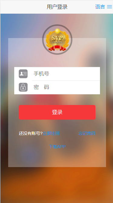 vpay模式完美运营无漏洞源码