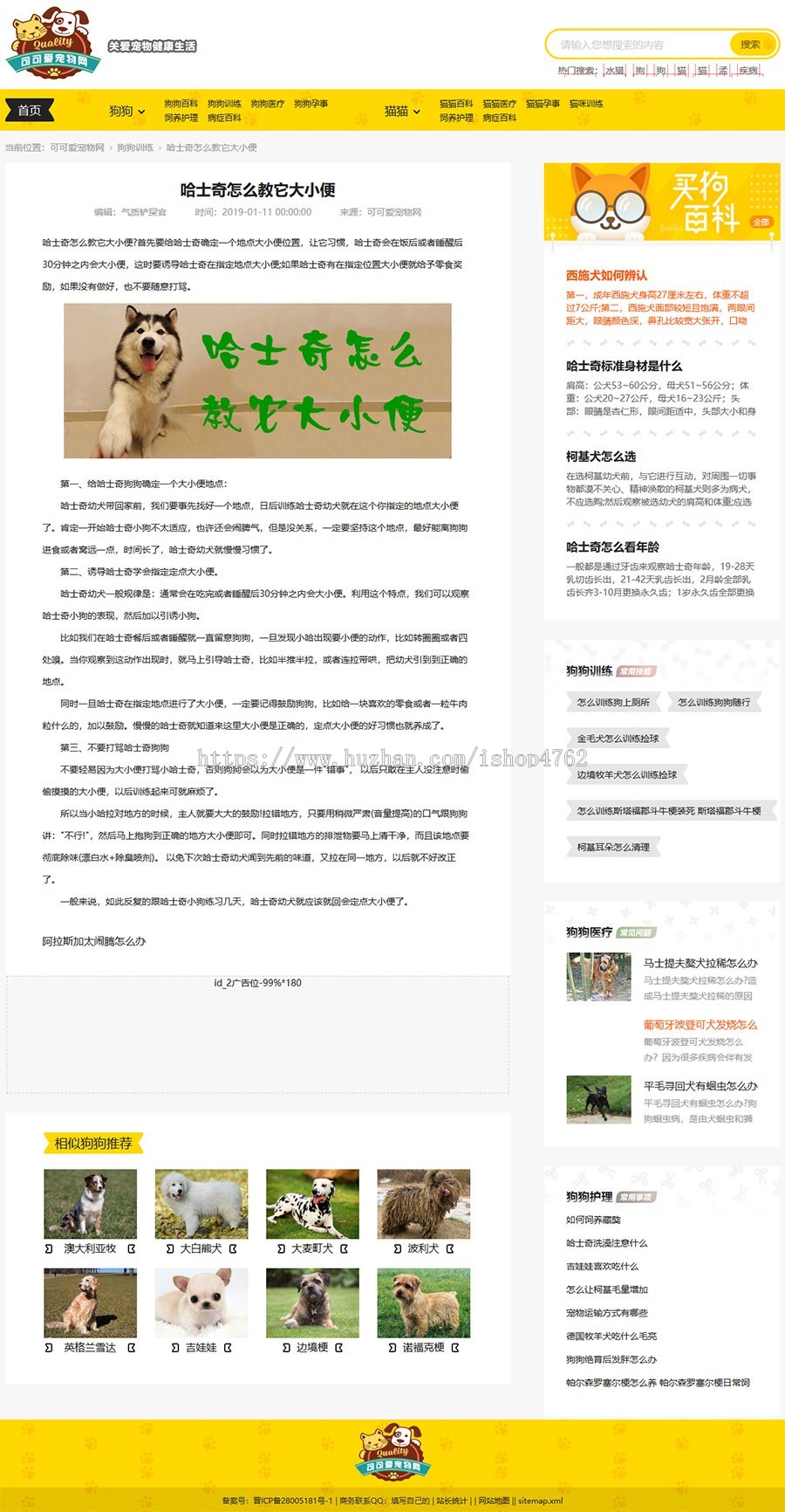 帝国cms仿《小可爱宠物网》宠物模板,宠物源码简洁大气带手机同步插件和火车
