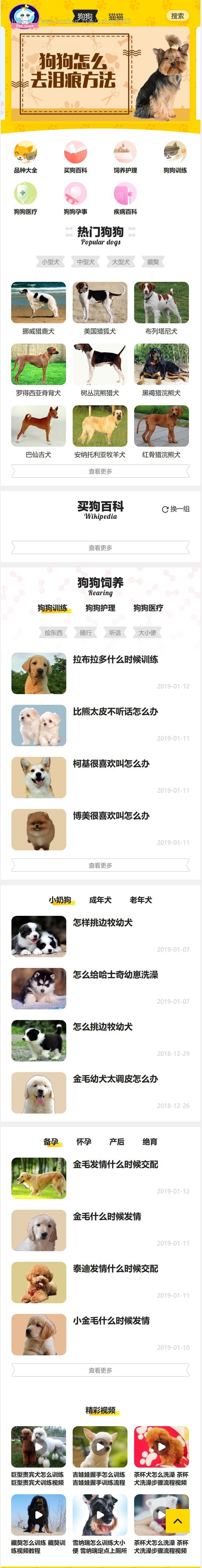 帝国cms仿《小可爱宠物网》宠物模板,宠物源码简洁大气带手机同步插件和火车