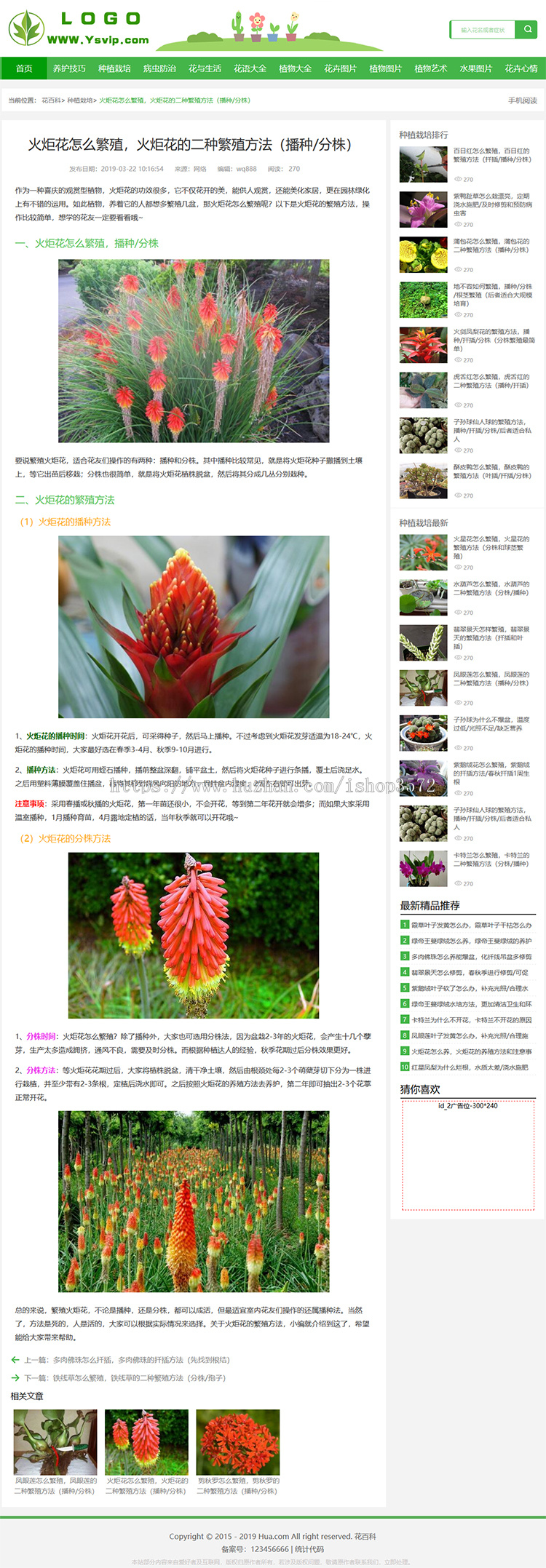 帝国CMS花草植物模板,花百科源码,花草乐模板,帝国MIP模板送采集