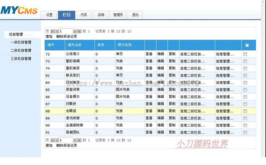绿色清新 美容整型医院医疗机构建站系统网站源码XYM478 ASP+ACC
