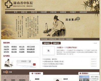 古朴漂亮 省中医院网站 医疗机构建站系统源码n0416 ASP+ACCESS