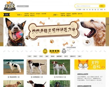 帝国CMS内核仿《小可爱宠物网》宠物资讯平台网站源码完整版送采集器+手机版