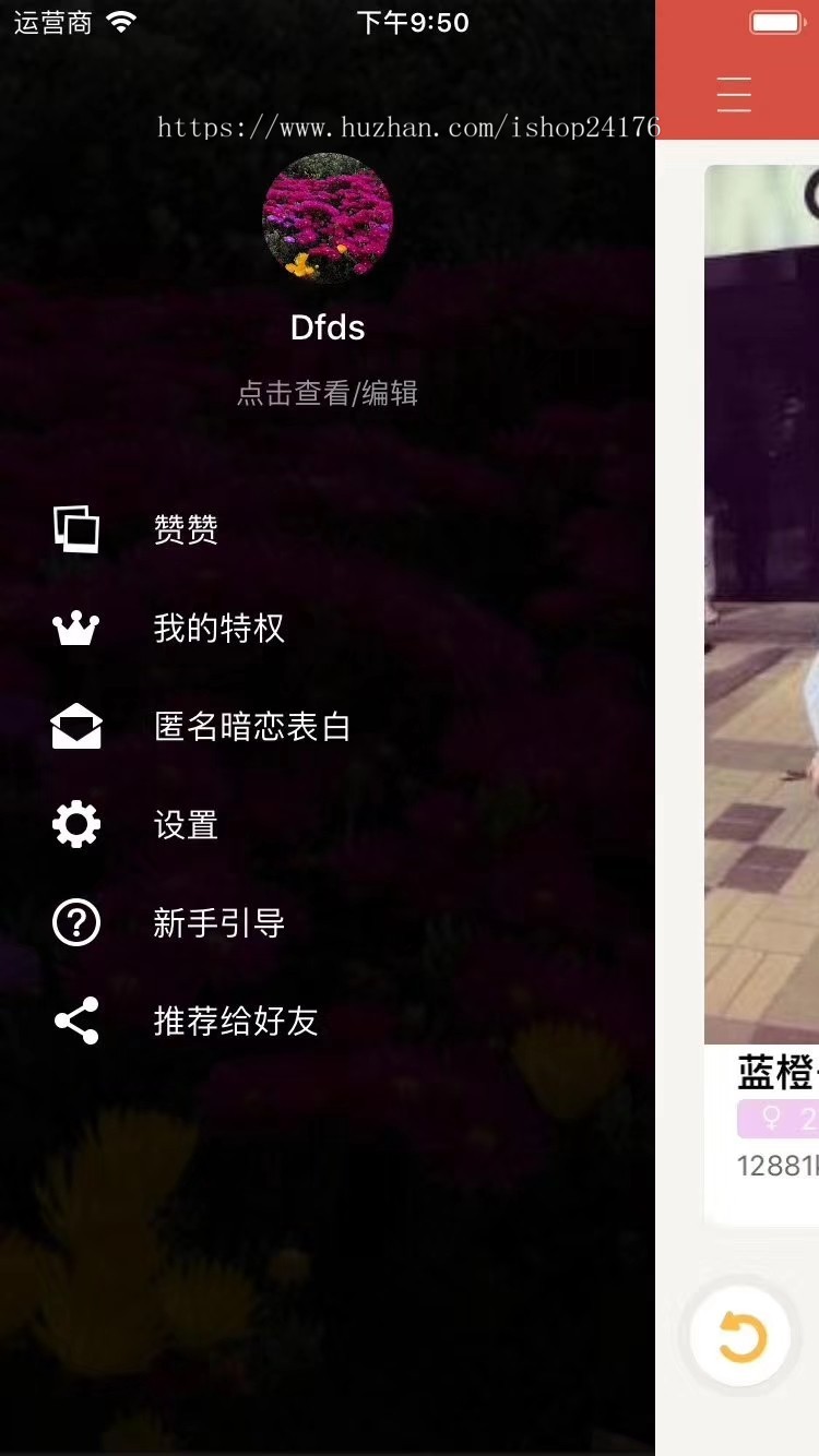 纯原生双端，仿探探，仿陌陌，聊天app，左右滑动，一对一相亲交友约会社交婚恋App