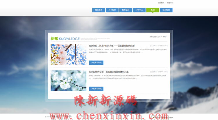 大气精美医疗美容医院整容整站源码
