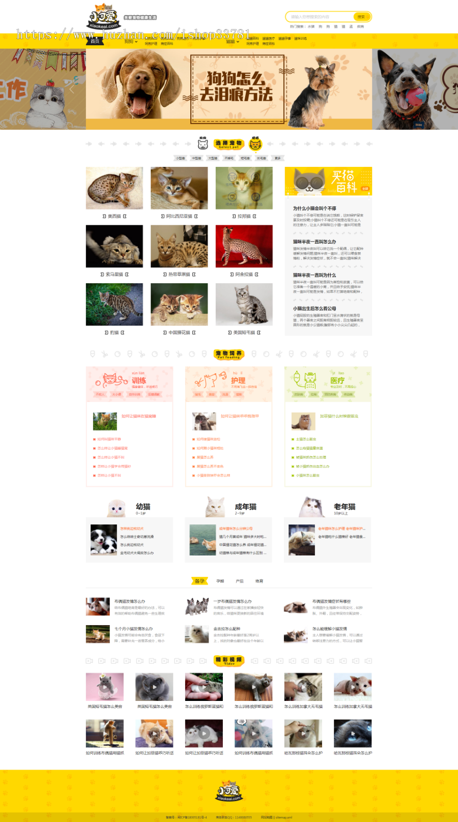 仿小可爱宠物网源码宠物狗狗猫猫品种资讯训练网站模板有手机版带采集