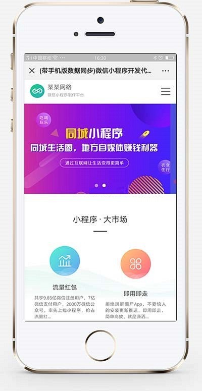 微信小程序开发代理展示销售织梦网站模板 织梦小程序软件网站