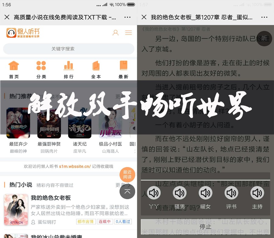 【整站源码】懒人听书小说网,仿蜻蜓听书,全自动采集,带手机版 送安卓APP 网博士网络