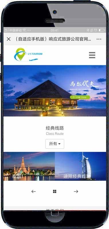 响应式旅游公司官网类网站织梦模板 HTML5旅游签证公司网站(带手机版)