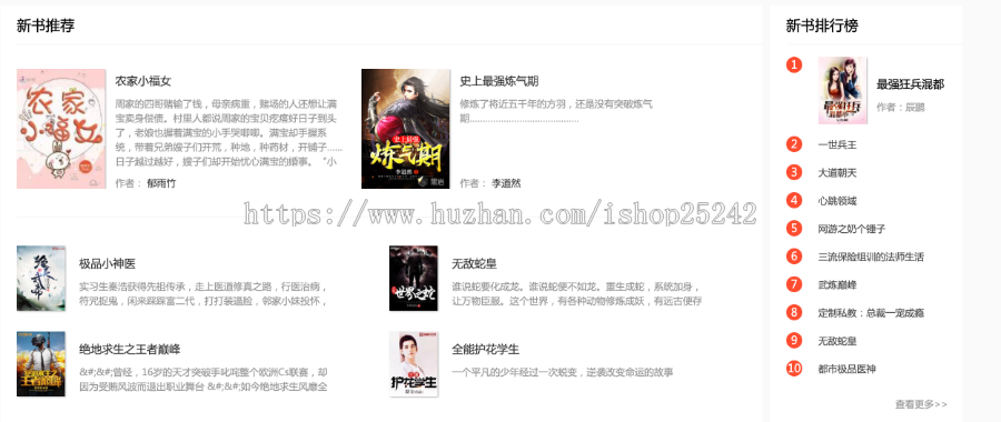 老狼小说源码自动采集+【深度seo优化】+wap自适应=小说网站源码 (原创模板 )
