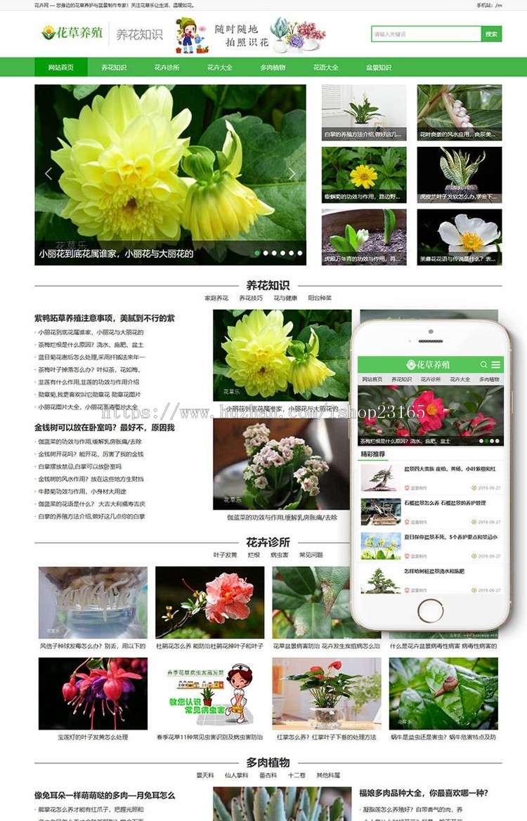 DEDECMS_花百科花草花卉养殖新闻资讯类织梦模板(带手机端)