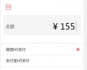 商家付款页面/仿支付宝买单/用户金额输入选择支付方式页面