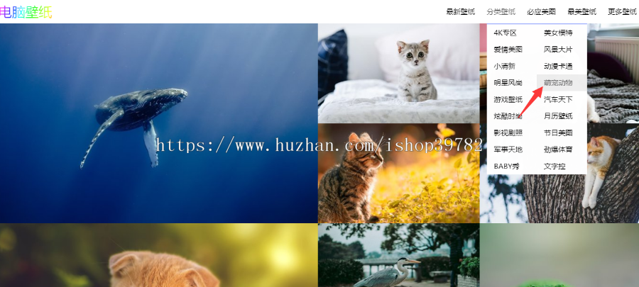 【包搭建】在线高清电脑桌面壁纸图片+全自动采集+美女明星风景动物分类图片+搭建教程