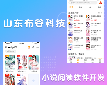 山东布谷仿飞读小说程序开发小说阅读应用软件开发小说APP软件专业原生开发
