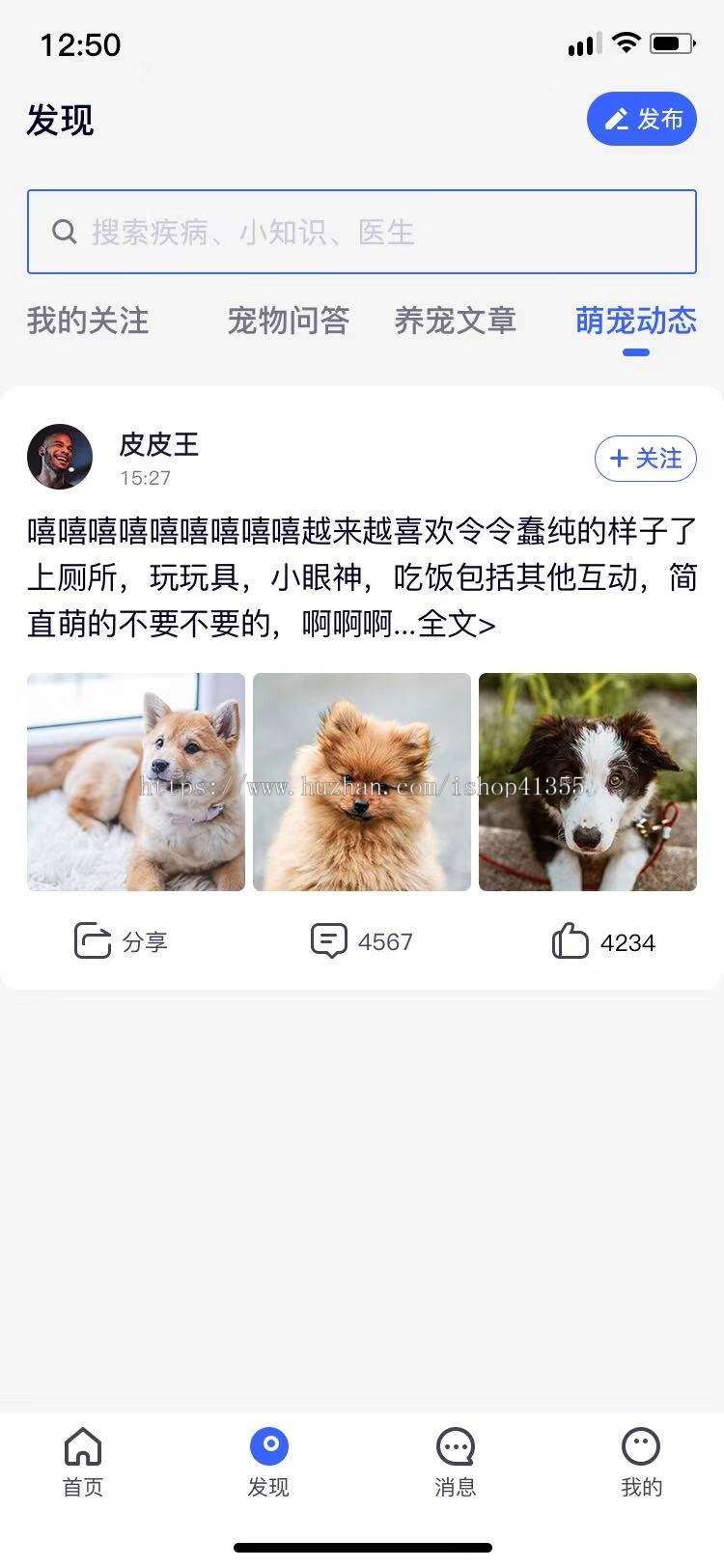 宠物社区,宠物医疗,在线宠物问诊,宠物社交,宠物喂养,在线挂号,预约