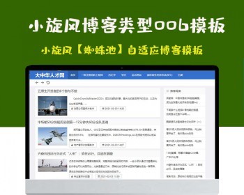 小旋风蜘蛛池站群模板html自适应博客论坛类型模板006蜘蛛池站群源码模板
