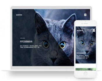HTML5响应式清新文艺个人博客文章类织梦模板（自适应）