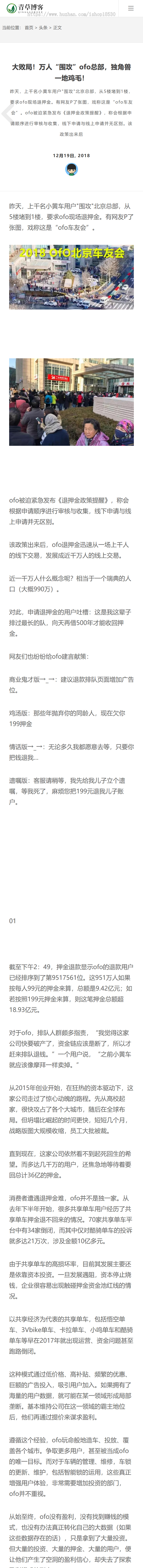 响应式极简个人博客自媒体类网站模板可扩展小程序【含1个域名商业授权】