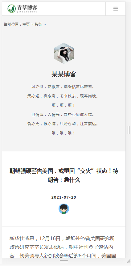 (自适应手机版)响应式极简个人博客自媒体类织梦模板 文章博客类网站模板