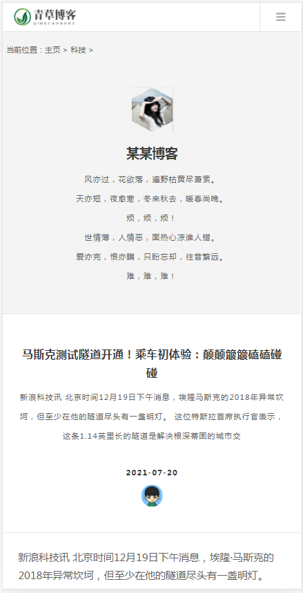 (自适应手机版)响应式极简个人博客自媒体类织梦模板 文章博客类网站模板