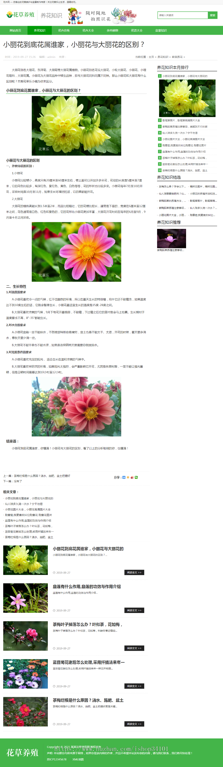 (带手机版数据同步)花卉养殖新闻资讯类织梦模板 绿色花草植物网站模板