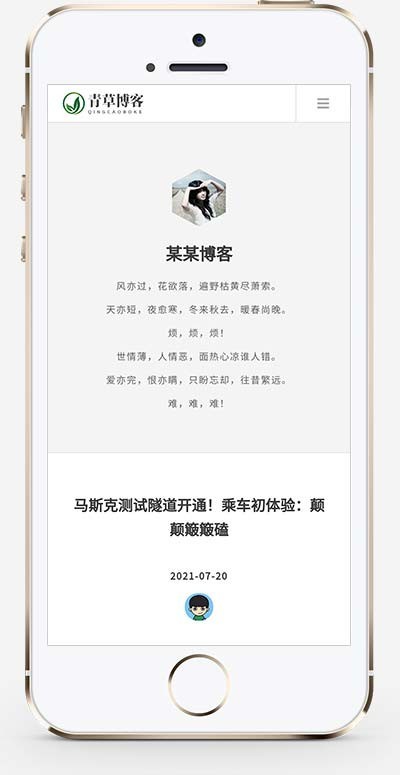 (自适应手机版)响应式极简个人博客pbootcms模板文章网站模板P015