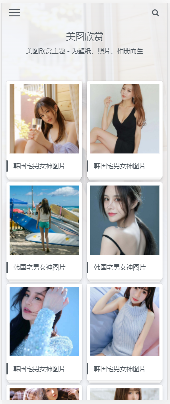 (自适应手机版)简约大气的图片相册类织梦网站模板 图片图集网站源码