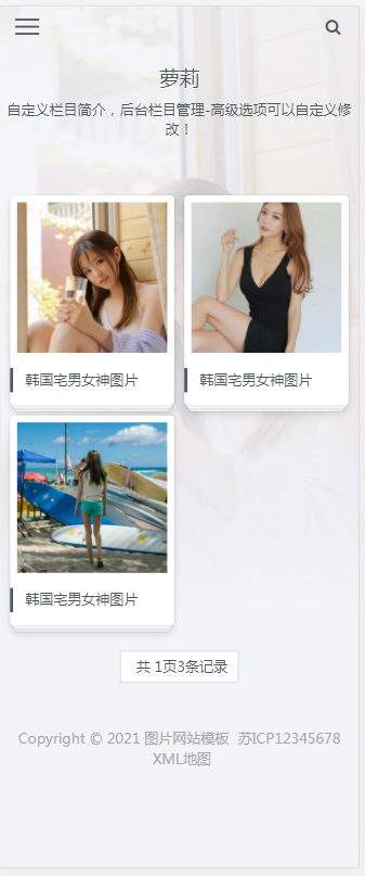 (自适应手机版)简约大气的图片相册类织梦网站模板 图片图集网站源码