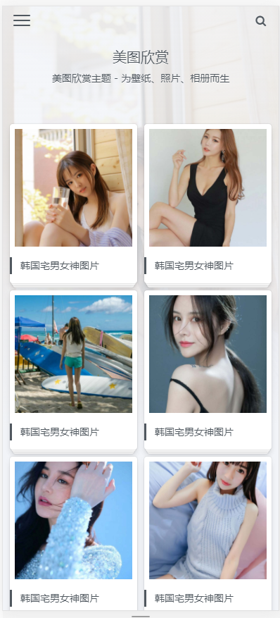 (自适应手机版)简约大气的图片相册类织梦网站模板 图片图集网站源码