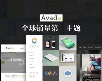 多功能企业主题Avada企业外贸汉化主题[更新至V7.6.1]+演示数据