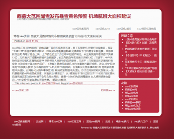 蜘蛛池站群程序v2.1全开源版 多模板站群养站泛站程序 站群网站SEO优化 随便二开