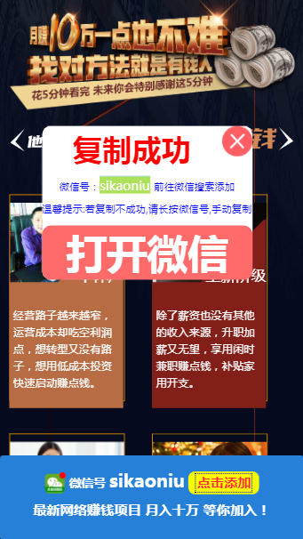 单页竞价引流模板源码 微信宣传推广粉丝引流加好友程序 SEO单页收录吸粉模板主页源码