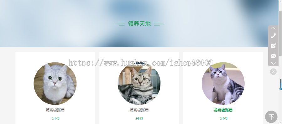 宠物医院官网建设网站设计网站制作手机站公众号