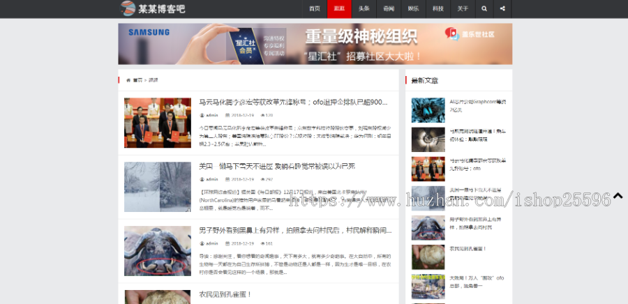 响应式简约文章资讯博客网站(含一个域名商业授权)