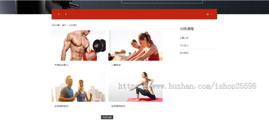 有氧体育运动类网站(含一个域名商业授权)