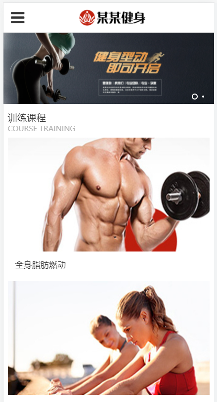有氧体育运动类网站(含一个域名商业授权)