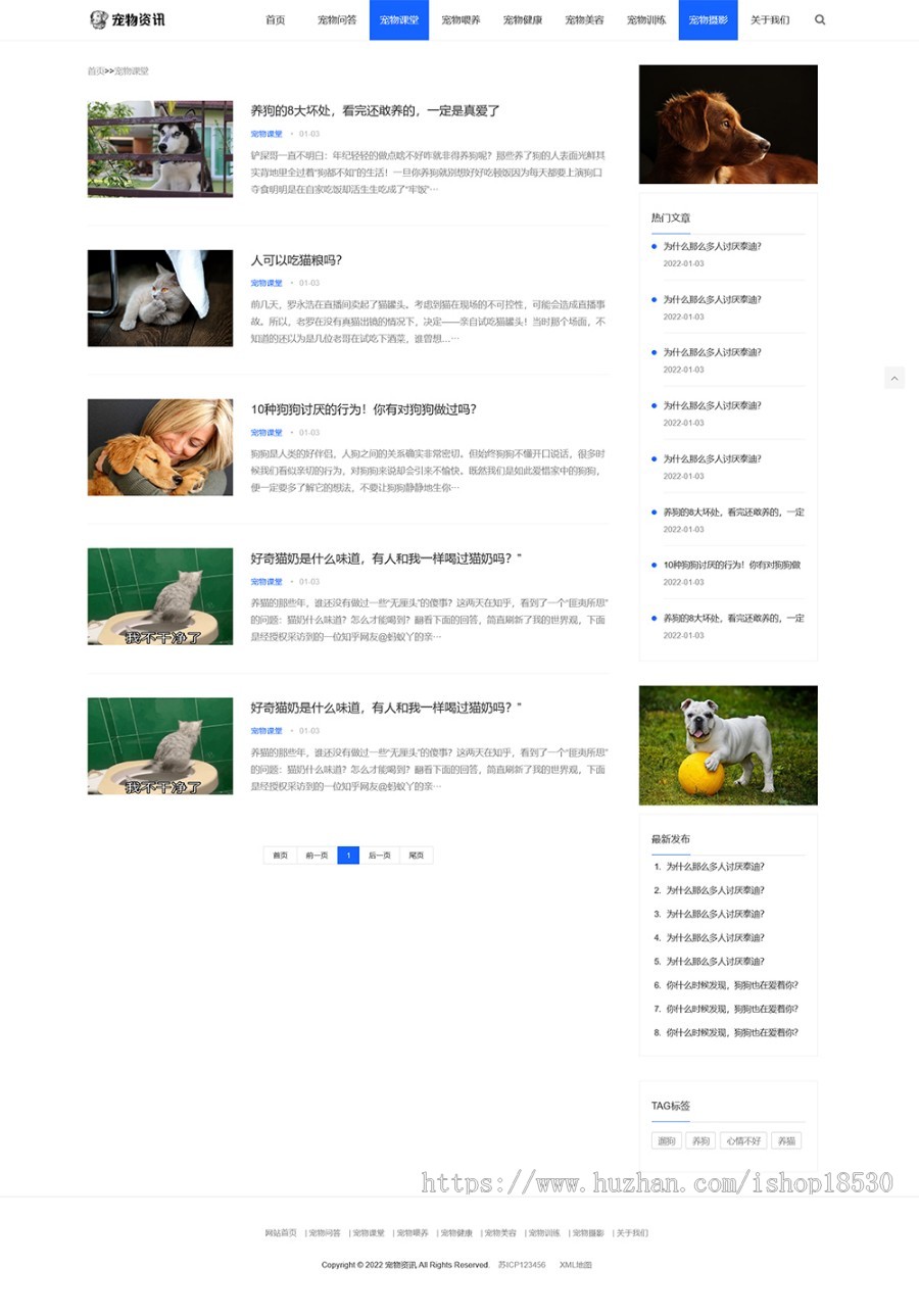 响应式宠物资讯类pbootcms网站模板（自适应手机端）宠物博客经验网站源码下载