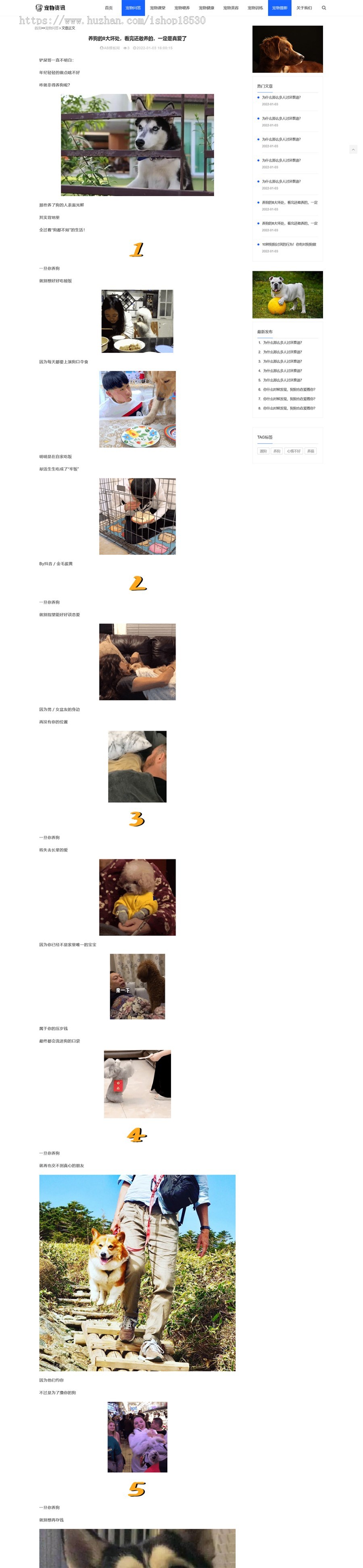 响应式宠物资讯类pbootcms网站模板（自适应手机端）宠物博客经验网站源码下载
