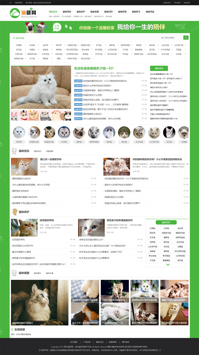 php整站源码宠物百科猫狗美图养猫门户资讯训练网站建站带手机端