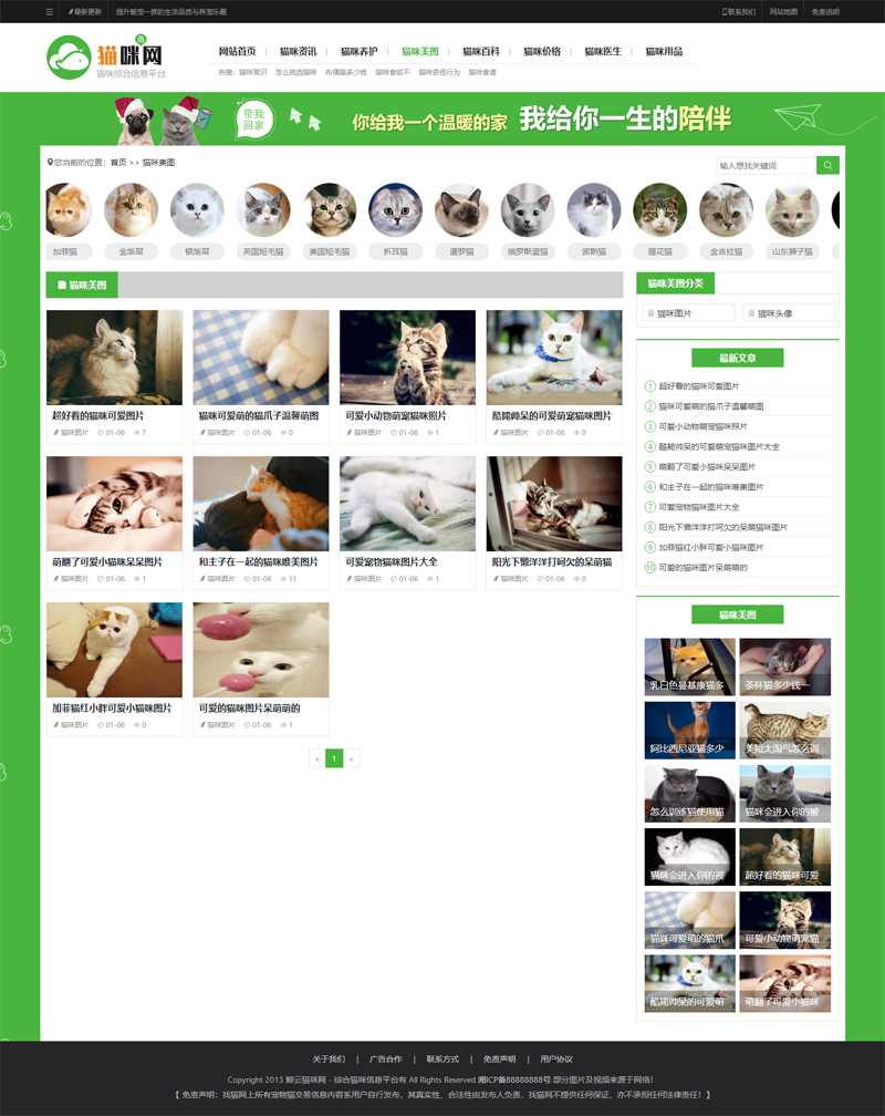 php整站源码宠物百科猫狗美图养猫门户资讯训练网站建站带手机端