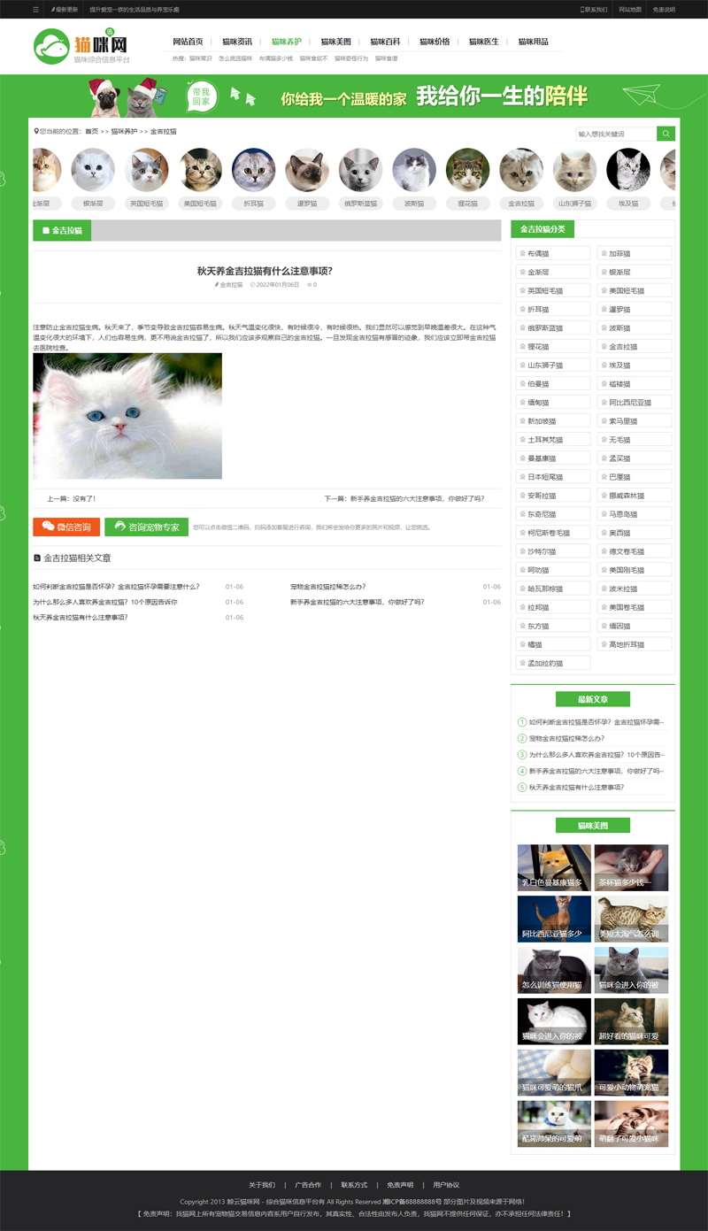 php整站源码宠物百科猫狗美图养猫门户资讯训练网站建站带手机端
