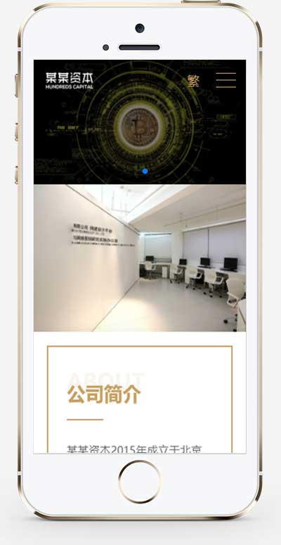 (自适应手机端)简繁双语金融资本企业 HTML5通用投资咨询单页模板