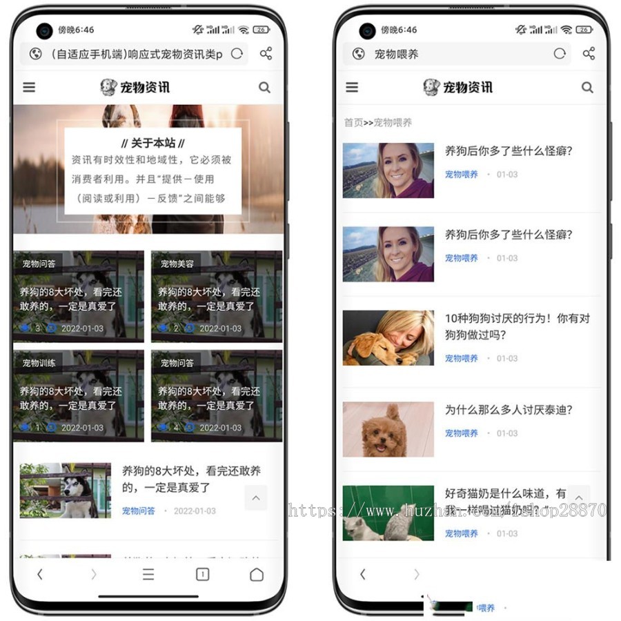 优质的宠物信息网站源码(宠物信息网站可以发布宠物信息的网站)