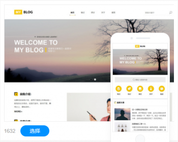 个人博客网站设计网站制作手机站公众号自适应网站