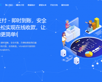【运营级别】2023新版VISA码支付 个人免签约 三网免挂机 二维码收款即时到账码支付系统