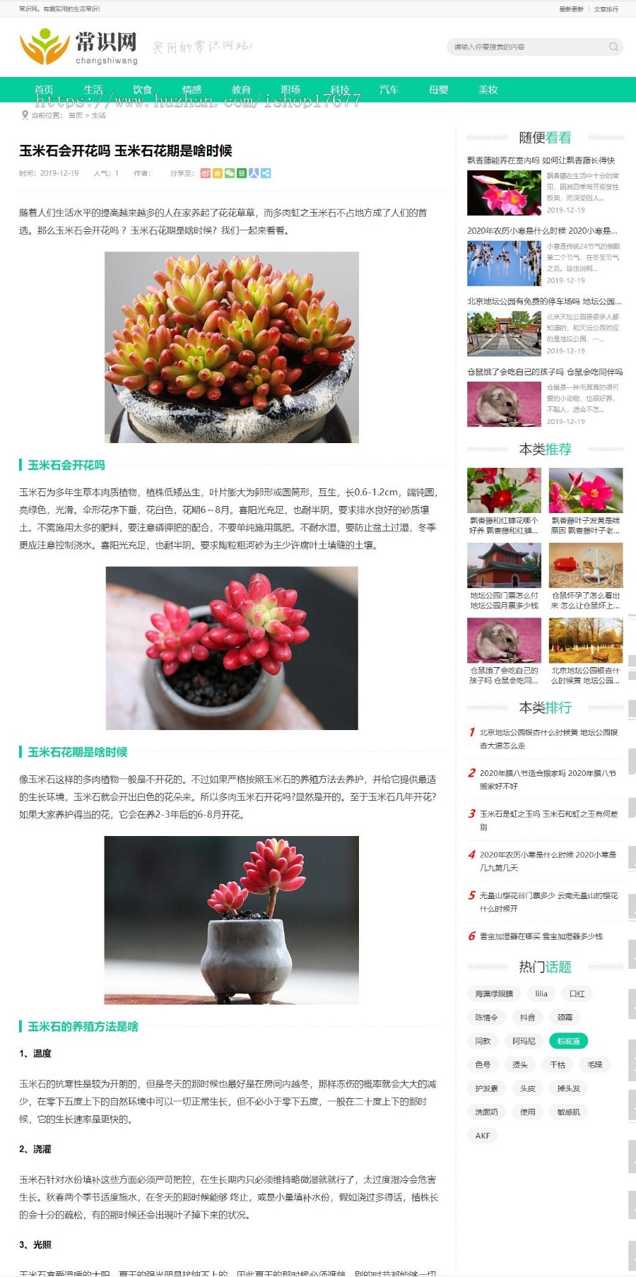 自媒体新闻资讯类网站模板 易优cms自媒体新闻资讯网站模版
