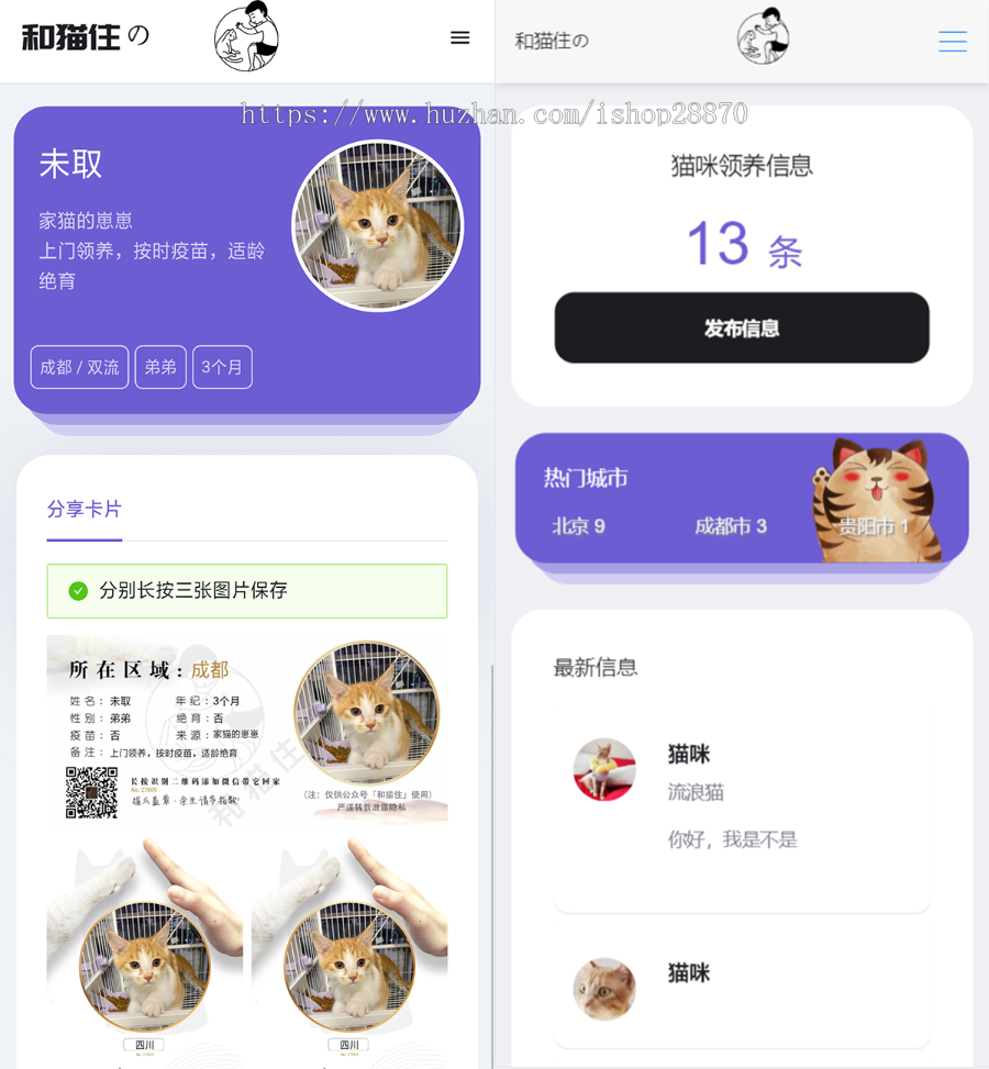 流浪动物领养源码_全国宠物免费领养(流浪宠物领养网站)