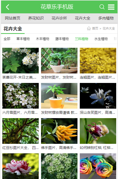 帝国cms7.5《花草乐养花网》整站源码模板资讯文章模板/同步生成/推送/地图带采集